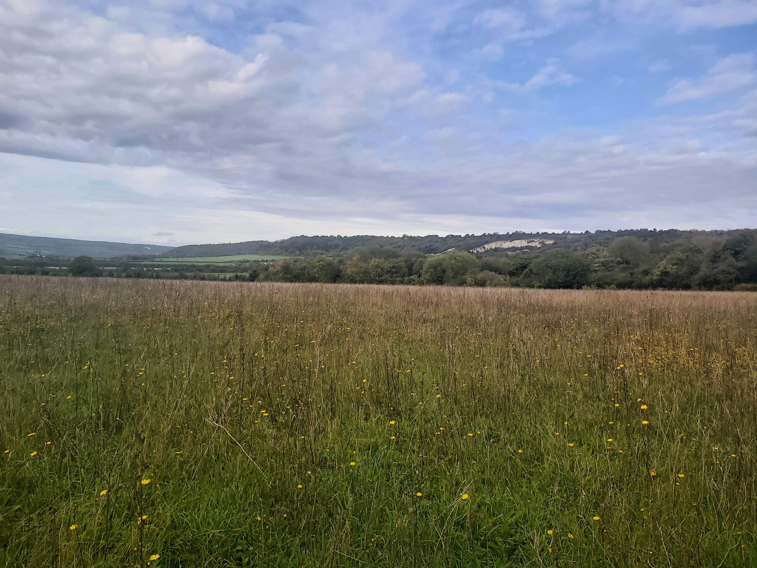 A field with far-reaching views at Aylesford, Kent, England.