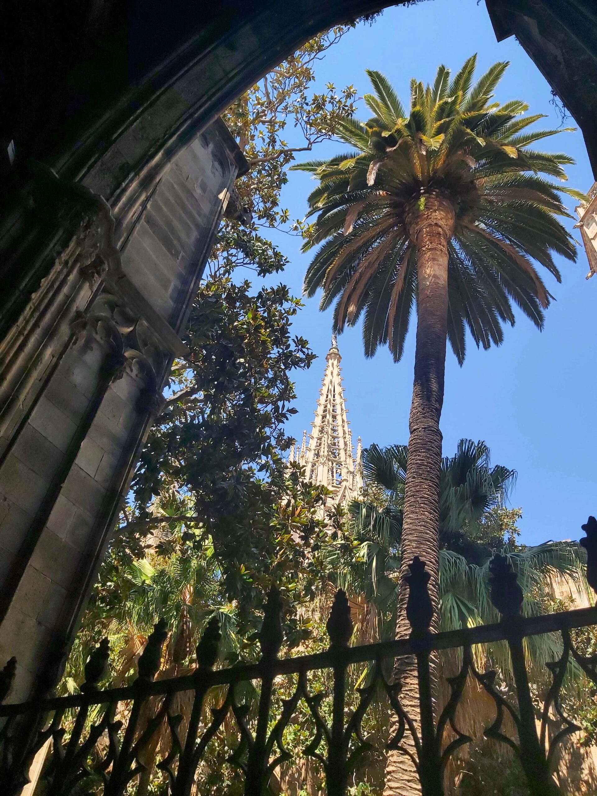 A view of a palm tree and cathedral spire through a cloister arch in Barcelona Cathedral, Spain