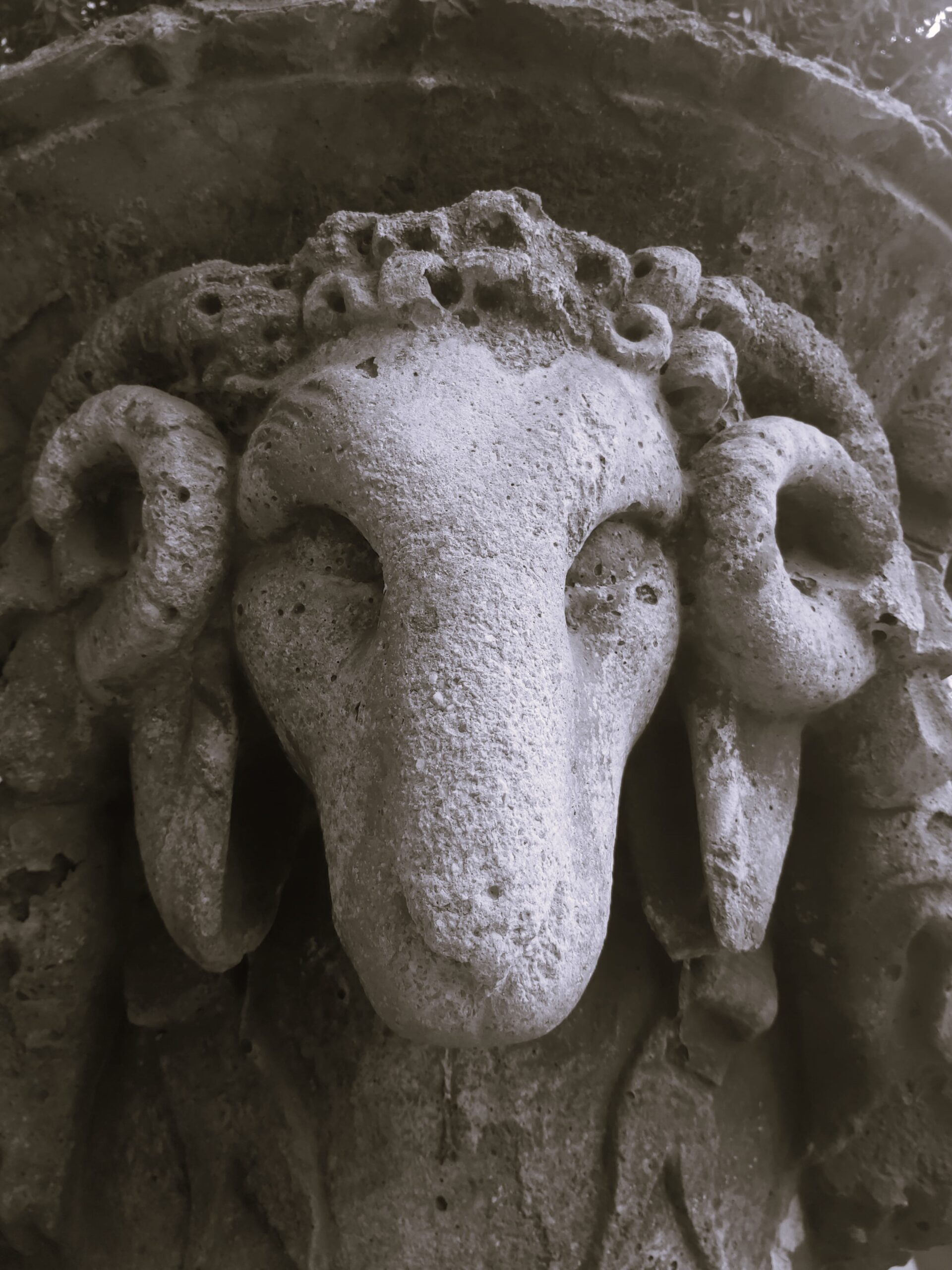 A carved ram's head found in Barcelona, Spain