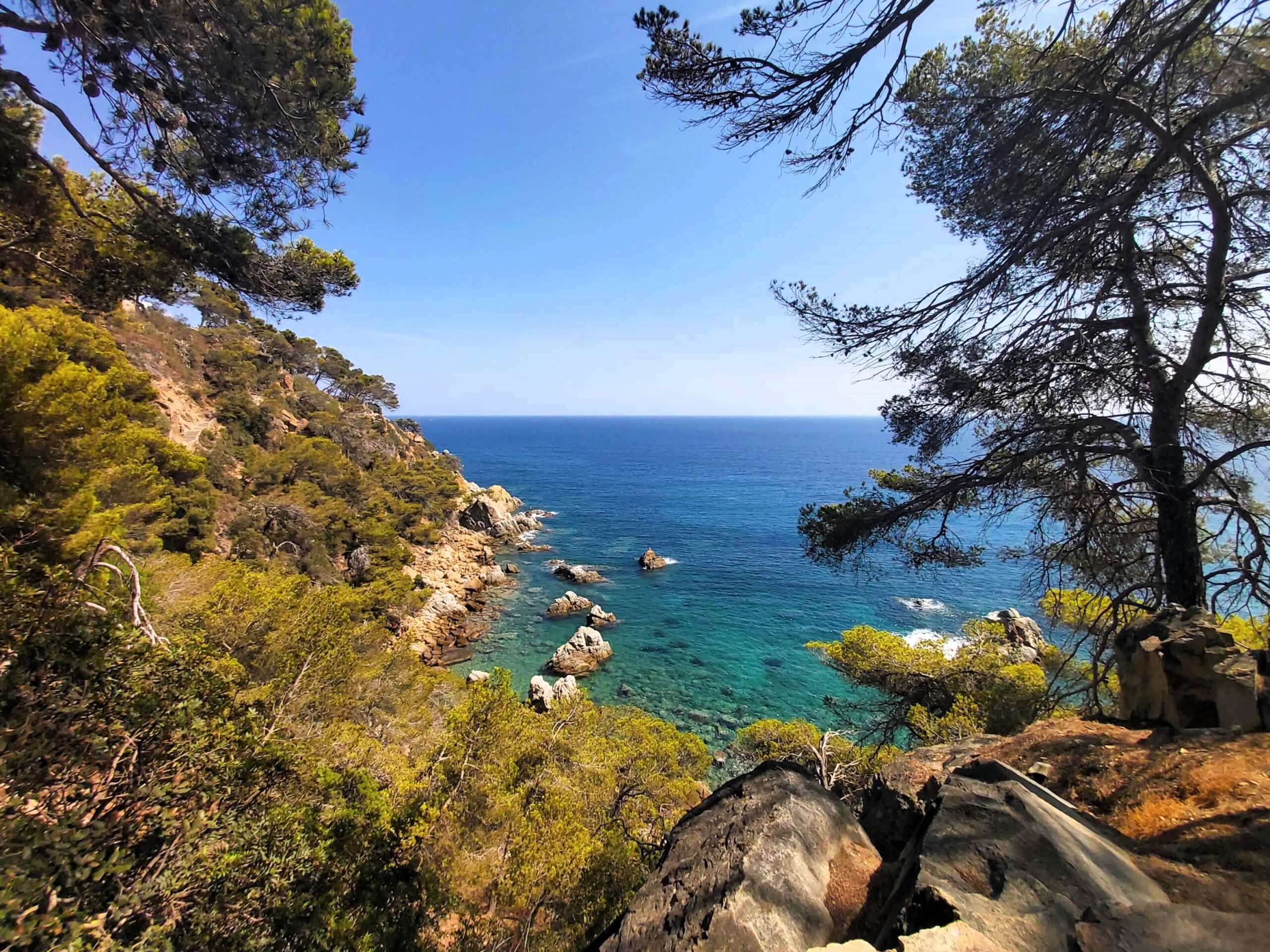 Sea view with trees in Lloret de Mar, Spain