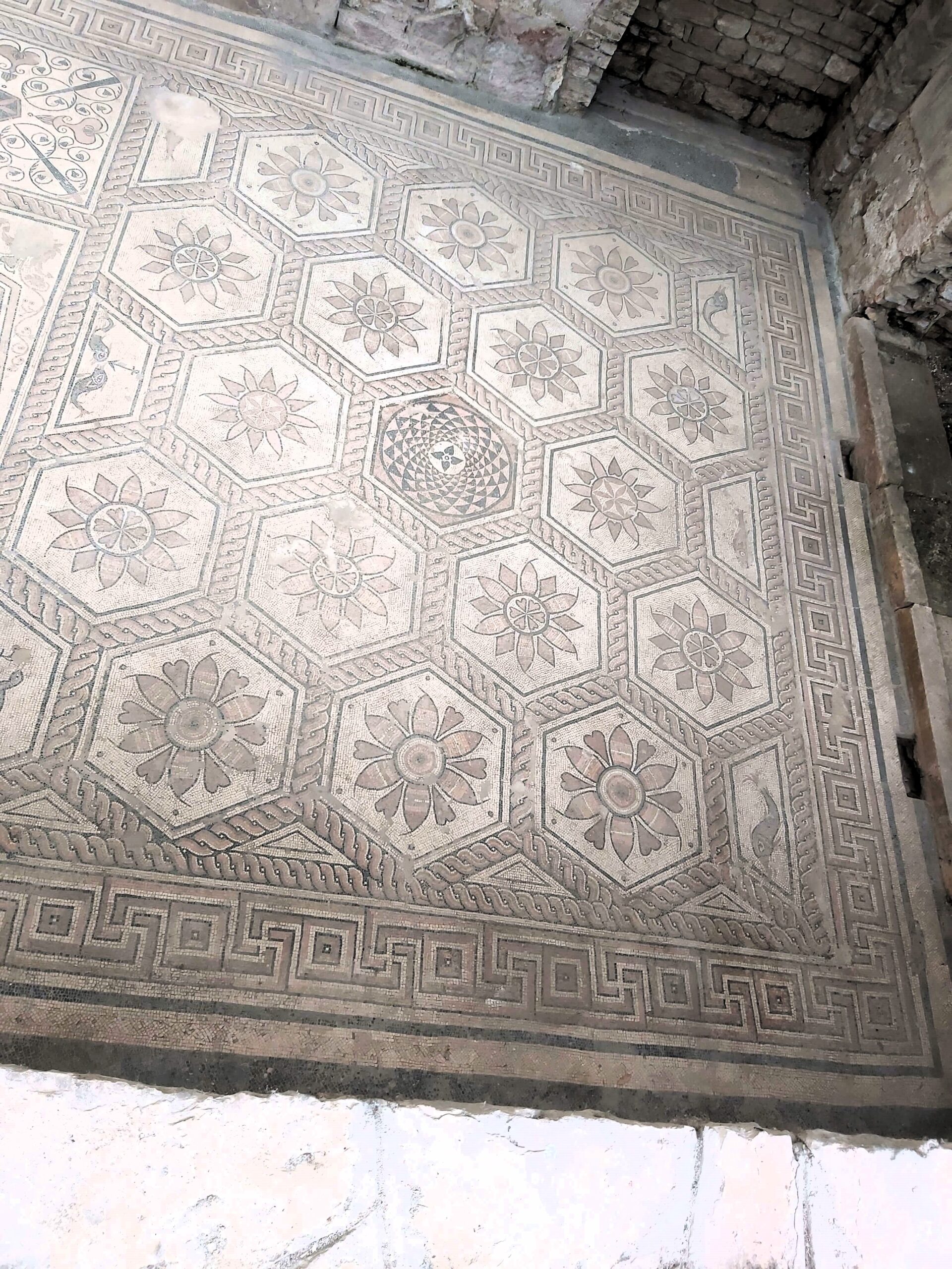 Roman mosaic in Pula, Croatia