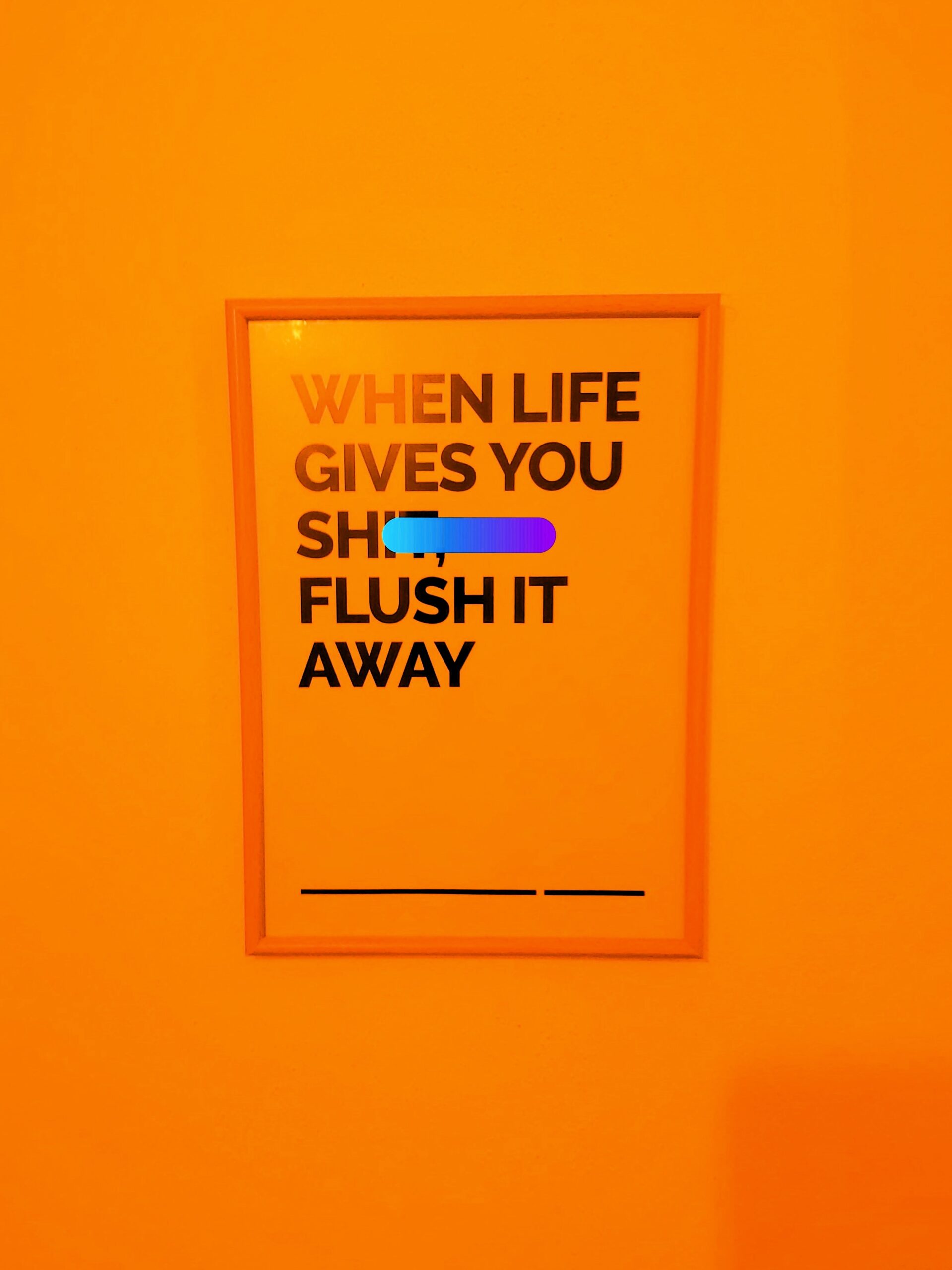 A toilet poster with "when life gives you sh*t, flush it away" in Timisoara, Romania.