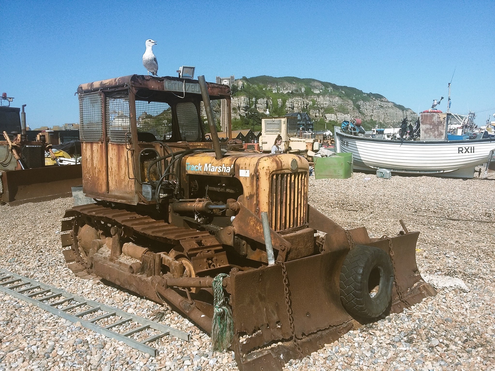 A seagull sits atop a rusty tractor with plough on the beach in Hastings, England