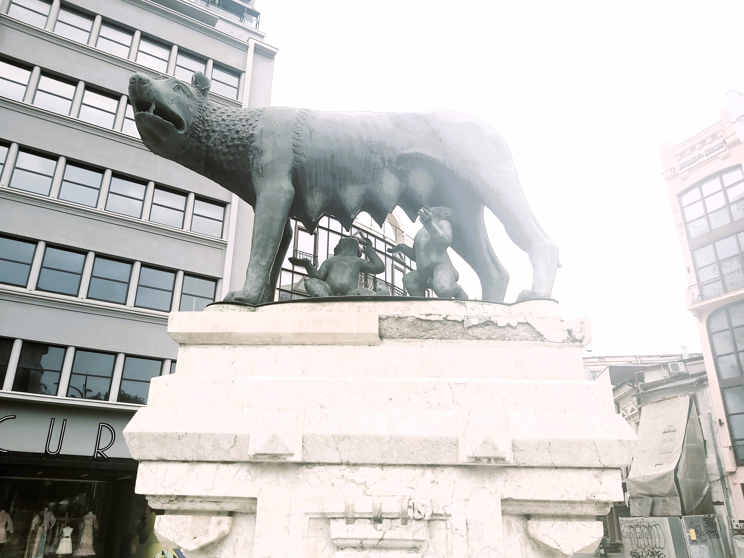 A close up of the wolf statue in București, Romania