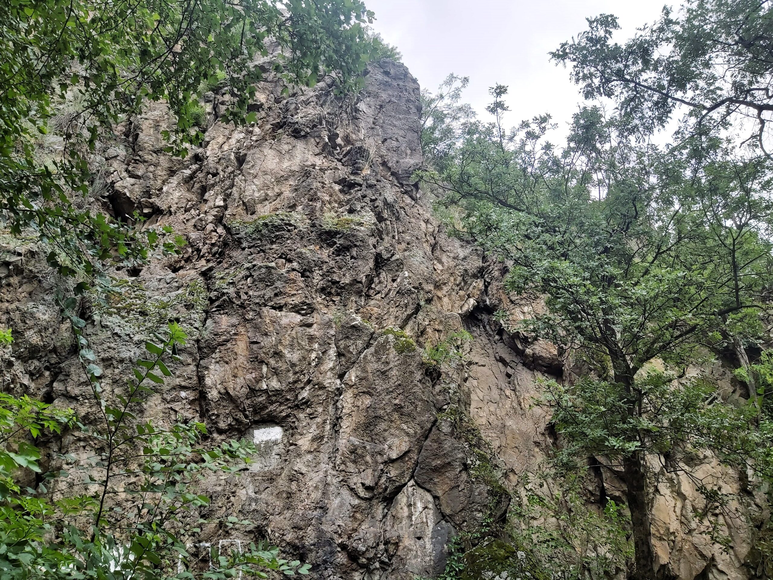 A rugged cliff face with foliage in Deva, Romania