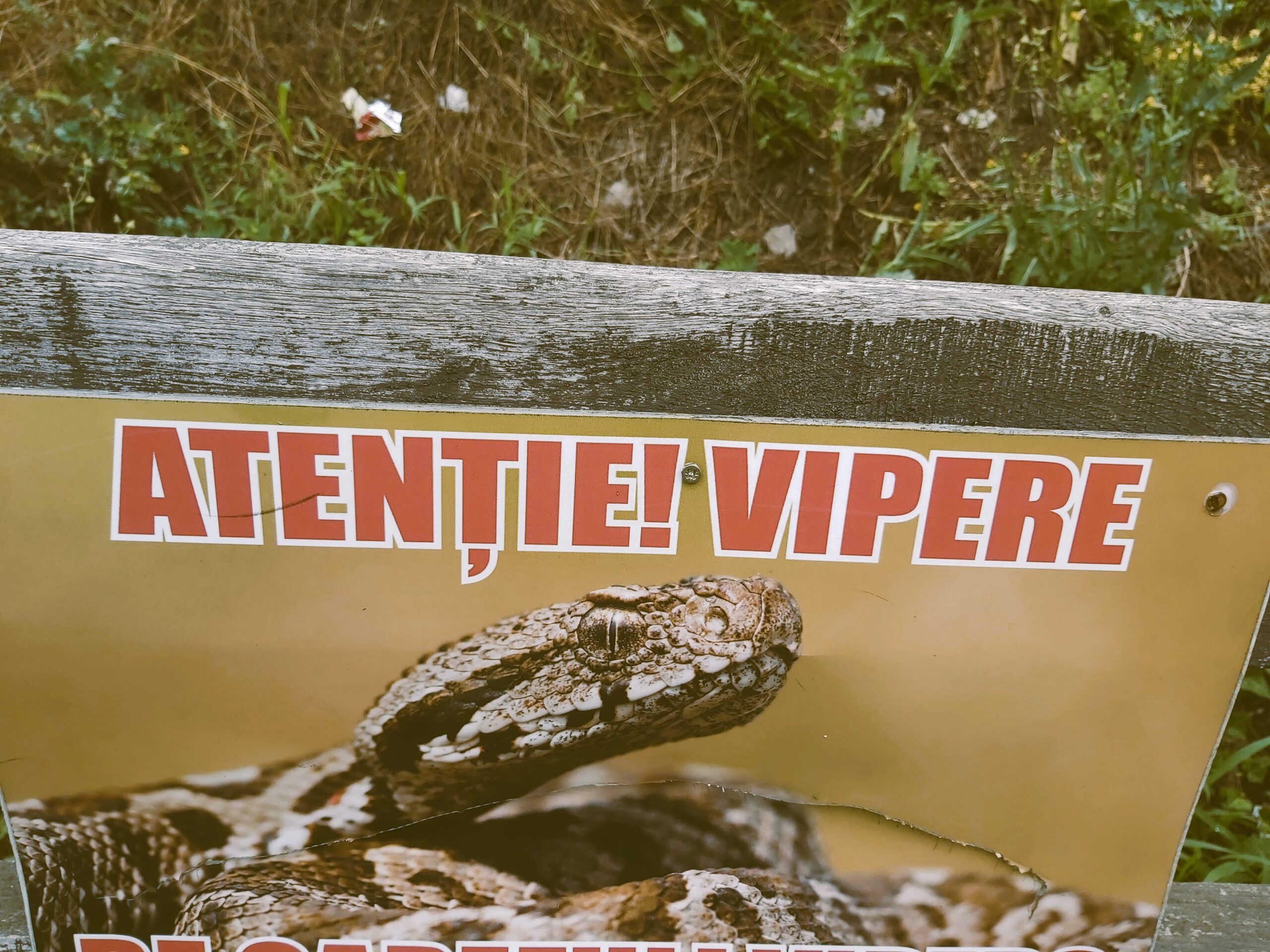 Viper warning sign at Deva Fortress, Romania