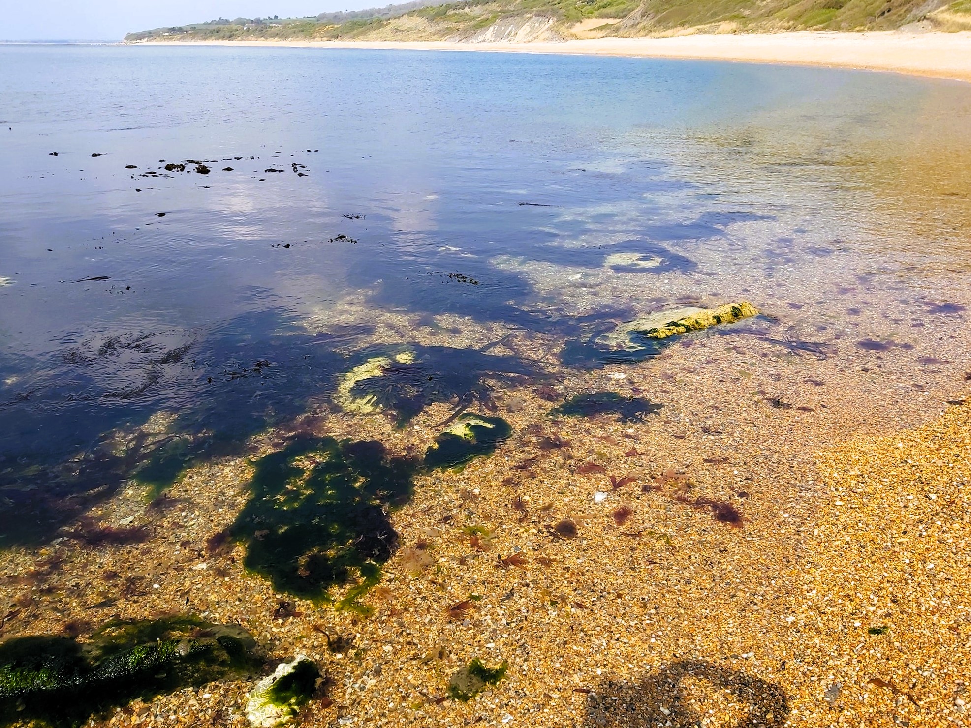 The clear waters of Ringstead beach, Dorset, England, with seaweed clearly visible.