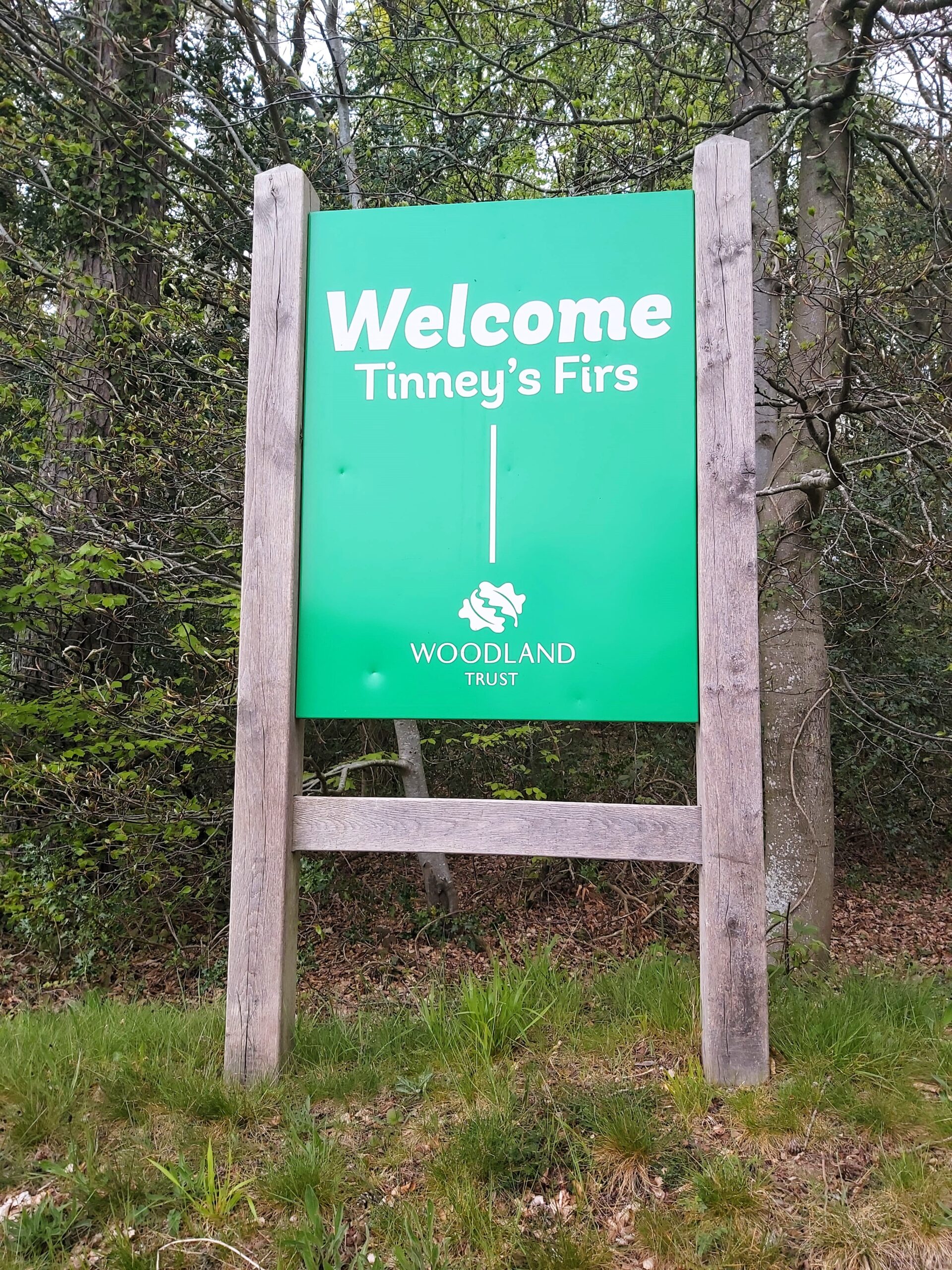 Tinney's Firs green sign, New Forest, England