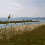 A vintage coloured shot of tall grasses and the beach at Ringstead beach, Jurassic Coast, Dorset, England
