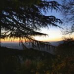 A sunset and a misty aerial view across Bergamo, seen through the shadowy branches of a tree